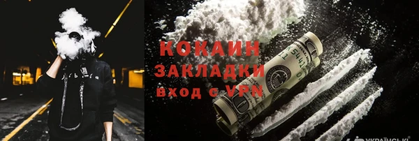 индика Верея