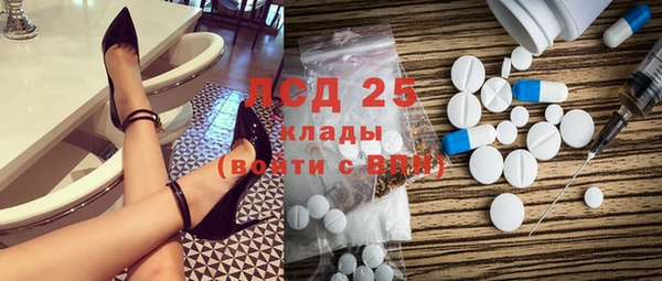 индика Верея