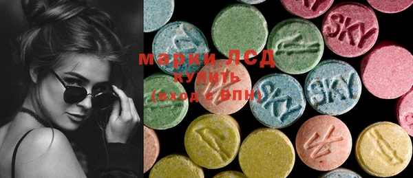 индика Верея