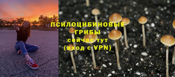 амф Верхний Тагил