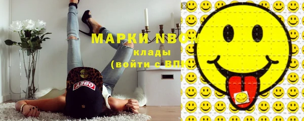 индика Верея