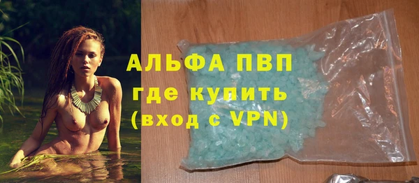 индика Верея