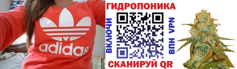 KRAKEN tor Севастополь Бошки марихуана SATIVA & INDICA закладка
